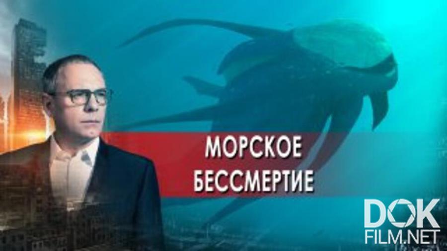 Шокирующие истории с прокопенко. Прокопенко шокирующие гипотезы 2021. Шокирующие гипотезы с Игорем. Шокирующие гипотезы с Игорем Прокопенко.