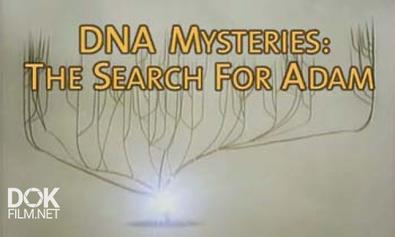 Загадки Днк: Поиски Адама / Dna Mysteries: The Search For Adam (2005)