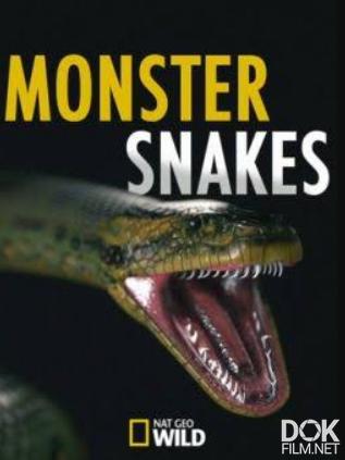 Змеи-монстры/ Monster Snakes (2019)