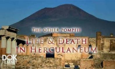 Жизнь И Смерть В Помпеях И Геркулануме / The Other Pompeii. Life & Death In Herculaneum (2013)