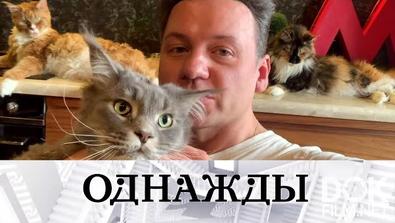 Однажды... Любовь и котики Александра Олешко и страшно интересная премьера (2021)