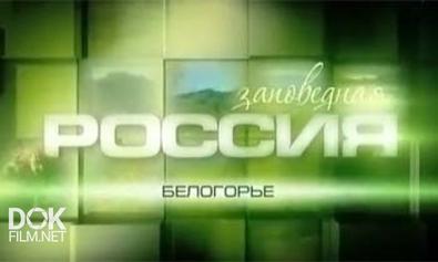 Заповедная Россия. Белогорье (2011)