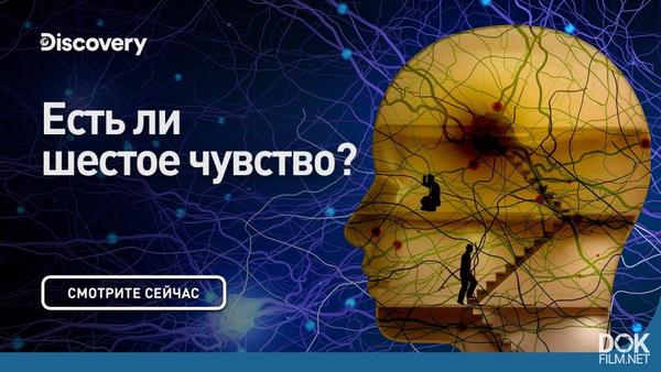 Есть ли жизнь после смерти сквозь кротовую нору с морганом фрименом discovery