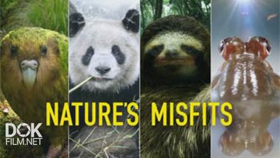 Мир Природы. Ошибки Природы / Natural World. Nature\'S Misfits (2014)