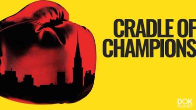 Колыбель Чемпионов/ Cradle Of Champions (2018)