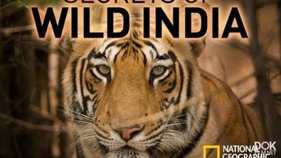 Тайны Дикой Природы Индии: Короли Джунглей/ Ng: Secrets Of Wild India: Kings Of The Jungle (2018)