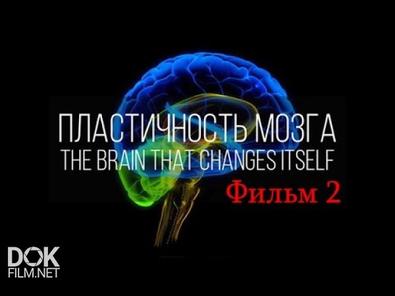 Мозг, Изменяющий Себя Сам. Нейропластичность Мозга (2015)
