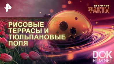 Безумные факты. Рисовые террасы и тюльпановые поля (2026)
