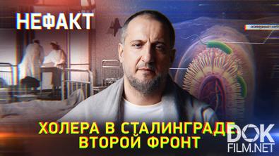 Не факт! Холера в Сталинграде. Второй фронт (2026)