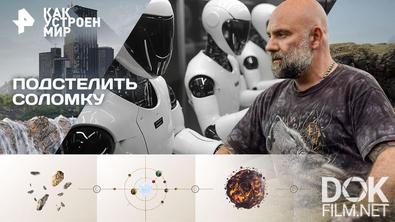 Как устроен мир с Тимофеем Баженовым. Подстелить соломку (08.09.2026)