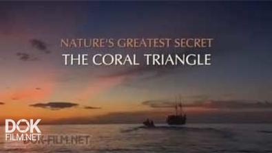 Великие Тайны Кораллового Треугольника / The Coral Triangle (2013)