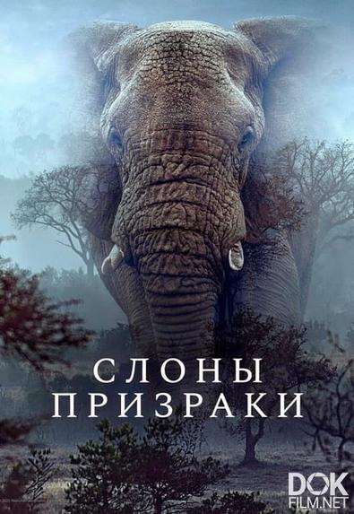 Слоны-призраки/ Ghost Elephants (2025)