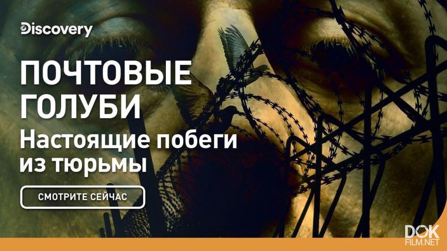 Смотреть документальный проект нечисть