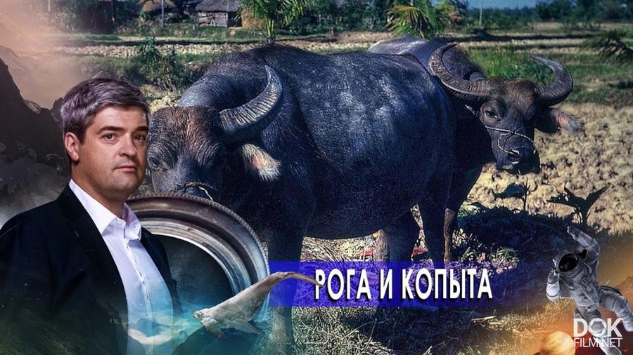 Почему дьявола изображают с рогами и копытами