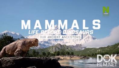 Млекопитающие: жизнь до динозавров/ Mammals: Life Before Dinosaurs (2025)
