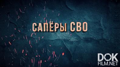 Саперы СВО (2024)