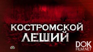 Следствие вели... Костромской леший (2013)