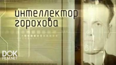 Интеллектор Горохова (2013)