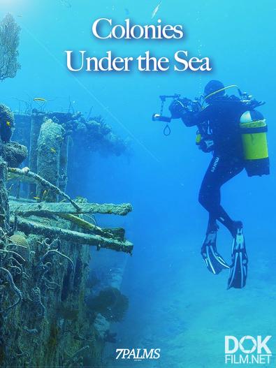 Колонии под водой/ Colonies Under the Sea (2019)
