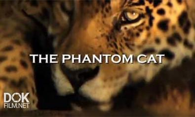 Неуловимая Кошка / The Phantom Cat (2012)