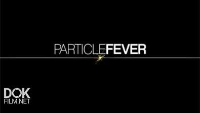 Страсти По Частицам / Particle Fever (2013)