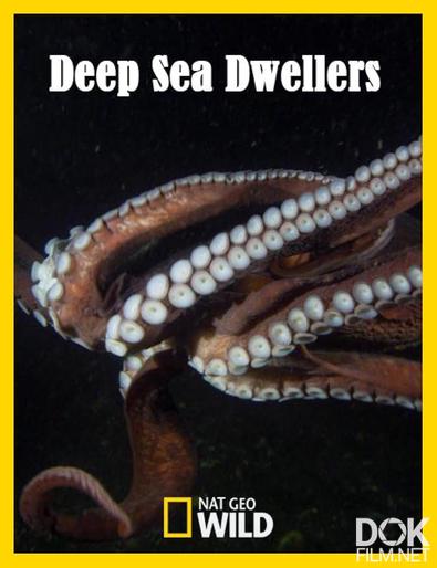 Обитатели морских глубин/ Deep Sea Dwellers (2024)