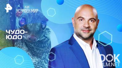 Как устроен мир с Тимофеем Баженовым. Чудо-юдо (07.05.2025)