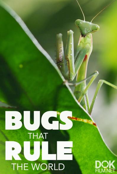 Насекомые, которые правят миром/ Bugs That Rule the World (2025)