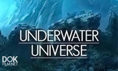 Подводная Империя (Подводная Вселенная) / Underwater Universe (2011)