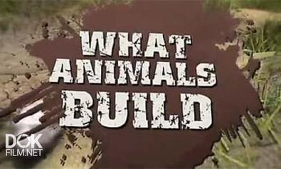 Что Строят Животные / What Animals Build (2009)