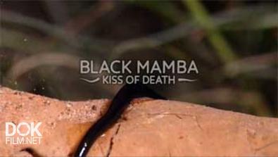 Черная Мамба: Поцелуй Смерти / Black Mamba: Kiss Of Death (2014)