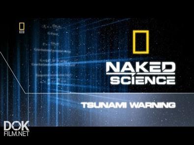 С Точки Зрения Науки/Naked Science. Сезон 2 (2005)