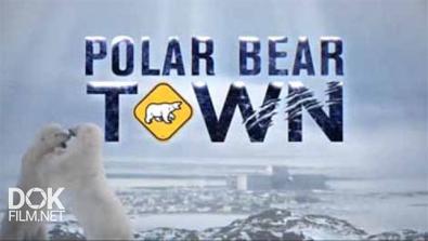 Городок Полярных Медведей / Polar Bear Town (2015)