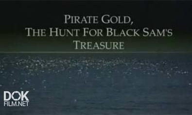 Золото Пиратов. Охота За Сокровищами Черного Сэма / Pirate Gold. The Hunt For Black Sam`S Treasure (2007)