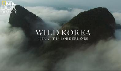 Дикая Корея/ Wild Korea Return Of The Wild (2018)