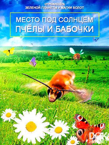 Место под Солнцем - Дикие пчелы и бабочки/ Children of the Sun - Wild Bees & Butterflies (2017)
