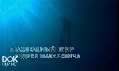 Подводный Мир Андрея Макаревича. Невозможный Нан-Мадол (2004)