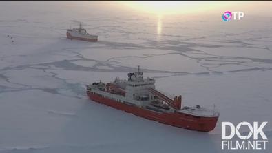 Северный морской путь. Дорога арктической жизни (2023)