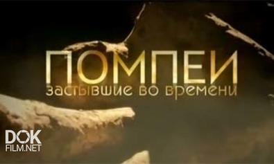 Помпеи: Застывшие Во Времени / Pompeii: The Mystery Of The People Frozen In Time (2013)