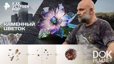 Как устроен мир с Тимофеем Баженовым. Каменный цветок (21.11.2025)