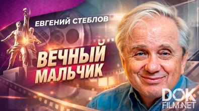 Наше кино. Неувядающие. Вечный мальчик Евгений Стеблов (2026)