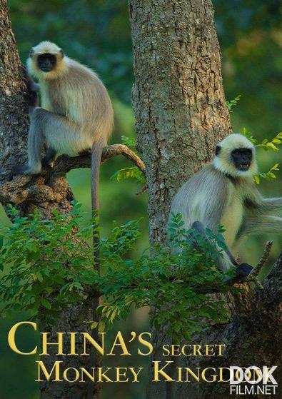 Tайное обезьянье царство в Китае/ China's Secret Monkey Kingdom (2020)