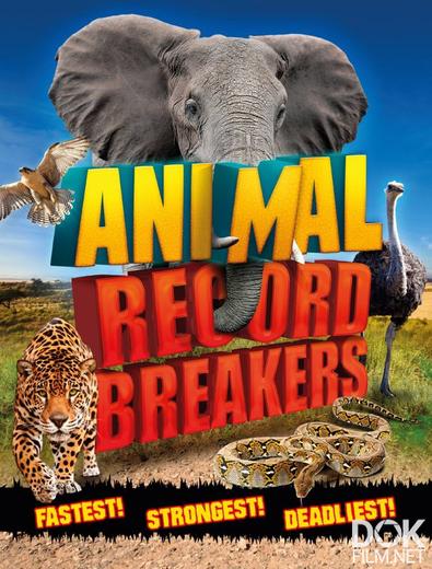 Рекордсмены из мира животных/ Animal Record Breakers (2014)