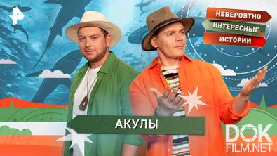 Невероятно интересные истории. Акулы (09.10.2025)