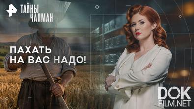 Тайны Чапман. Пахать на вас надо! (08.09.2026)