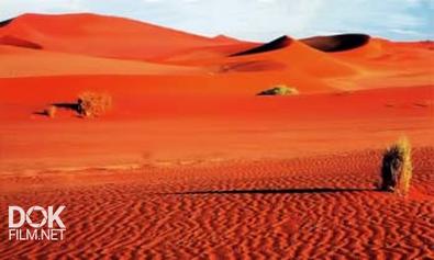 Золотой Глобус (093). Намибия. Между Океаном И Пустыней (2011)