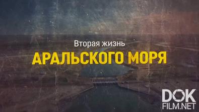 Вторая жизнь Аральского моря (2024)