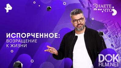 Знаете ли вы, что? Испорченное: возращение к жизни (2025)