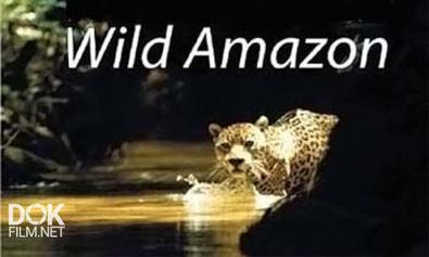 Дикая Природа Амазонки / Wild Amazon (2010)