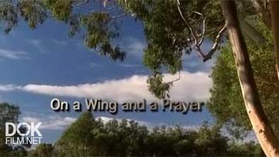 На Честном Слове И На Одном Крыле / On A Wing And A Prayer (2011)